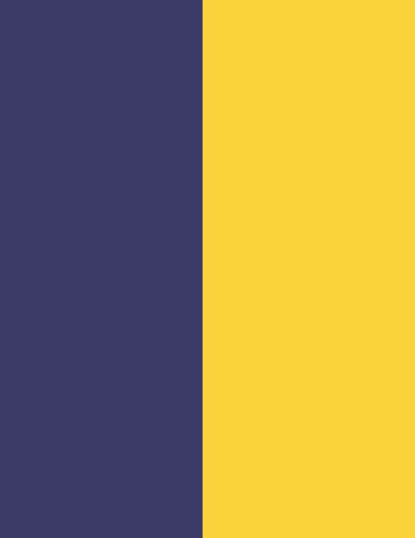 NAVY/GIALLO