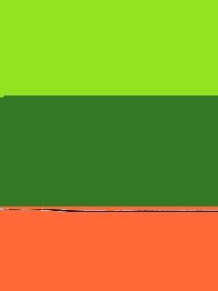 LIME PUNCH/GREEN MEDIUM/ORANGE