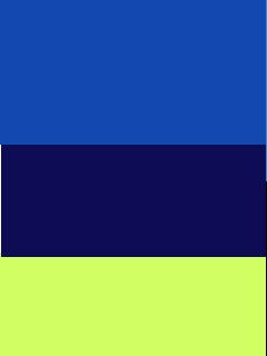 ROYAL/DARCK NAVY/YELLOW FLUOR